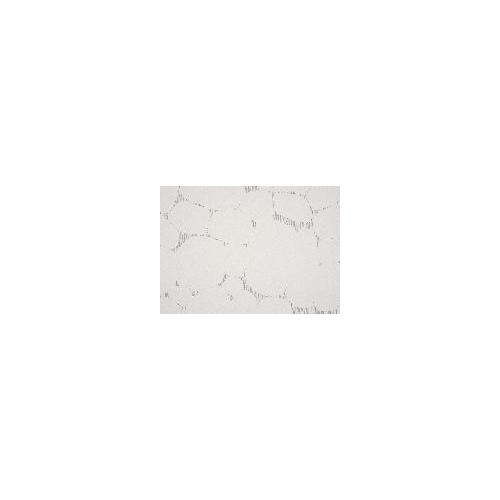 Stripe Drawing Book - 地中から木もれ日へ