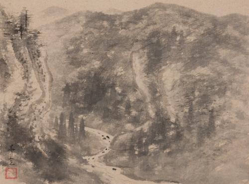 杉渓清流