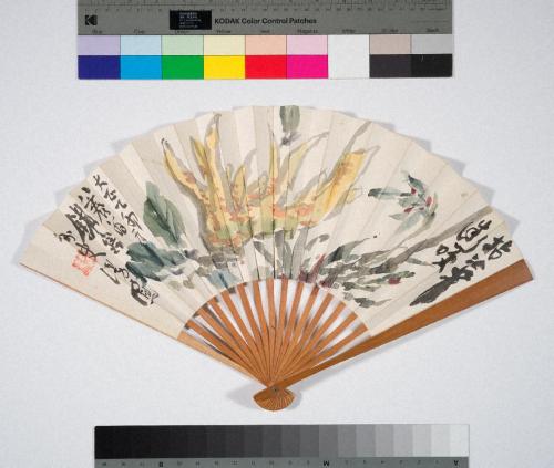 仏手柑南天図扇子