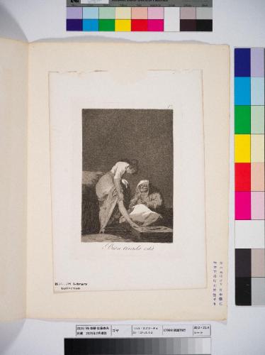 〈ロス・カプリーチョス〉17：ぴったりよ