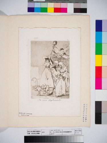 〈ロス・カプリーチョス〉20：むしり取られて追い出され