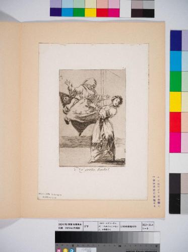 〈ロス・カプリーチョス〉74：わめくんじゃないよ、お馬鹿さん