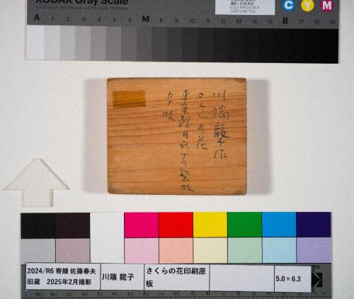 さくらの花印刷原板