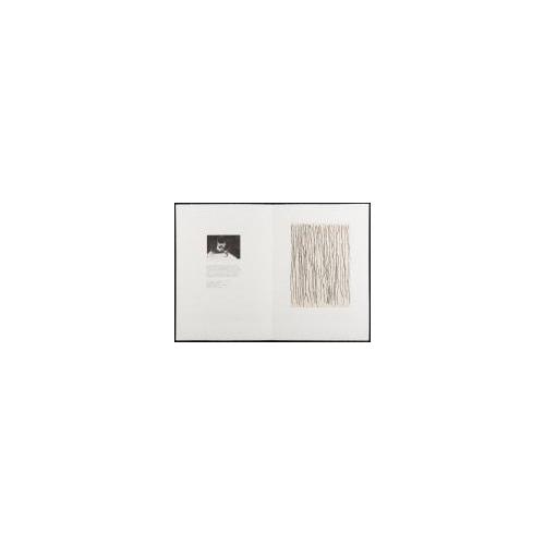 Surface is the Between — Between Vertical and Horizon — "Field Horizon No.28"— For Performing