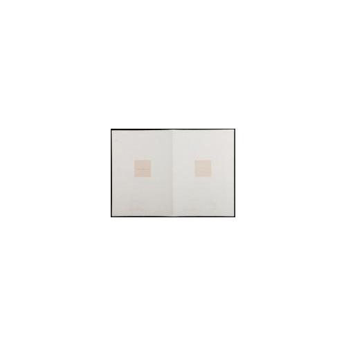 Surface is the Between — Between Vertical and Horizon — "Field Horizon No.28"— For Performing