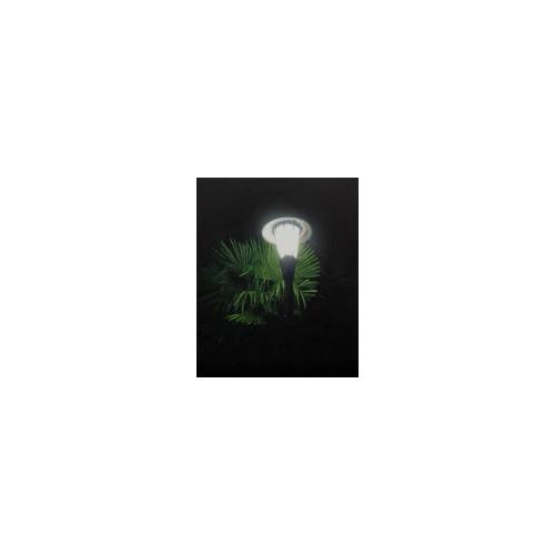 The Light with the Palm Leaves (Source of Light 14-3)