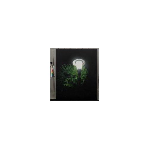 The Light with the Palm Leaves (Source of Light 14-3)