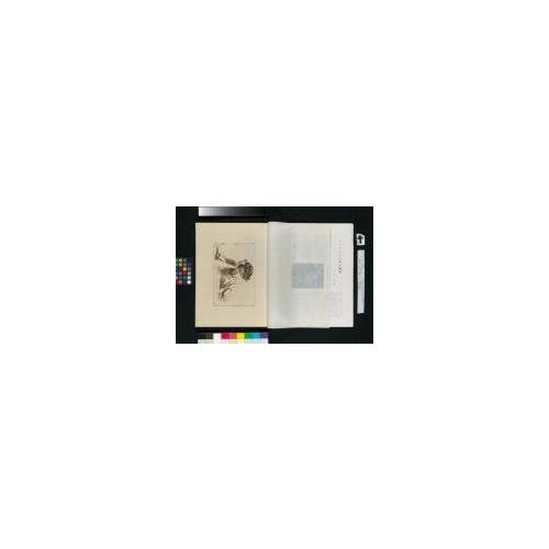 読書『丹青』1-3