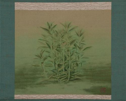 草