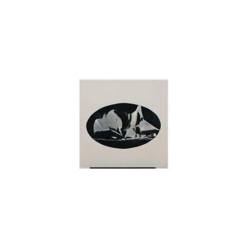 FromSilverFoil(72×72cmシリーズ）No.12刷色違