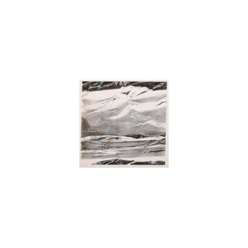 From Silver Foil(72×72cmシリーズ）No.5