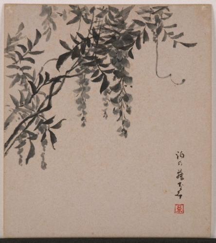 色紙　藤