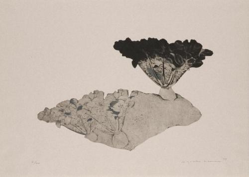 大地から（「剥奪されたもの」シリーズ）