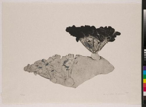 大地から（「剥奪されたもの」シリーズ）