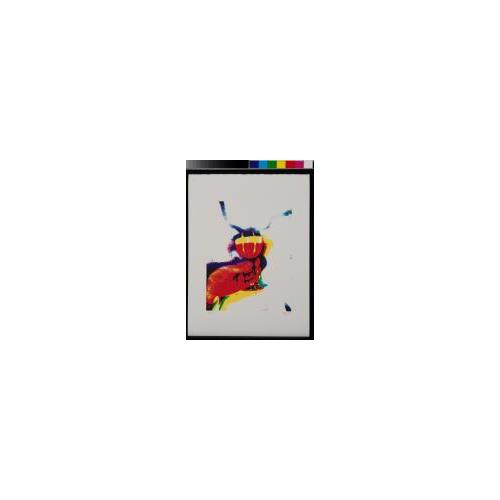 『それから靉嘔氏は虹によって酔っぱらった』