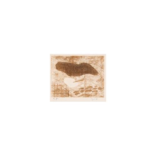 雲と旗