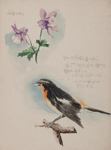 ［徳義中学時代デッサン帳より］　おだまき［・鳥］