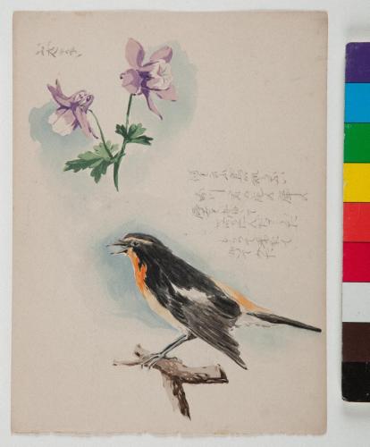 ［徳義中学時代デッサン帳より］　おだまき［・鳥］