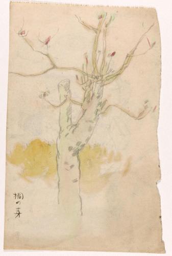 『浦和旅行デッサン帳』より［桐の芽］