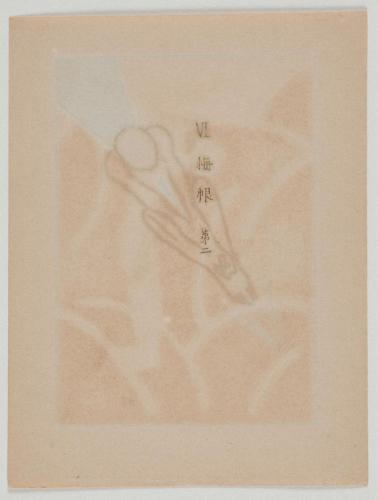 『心原幽趣 I』 「VI悔恨第二」