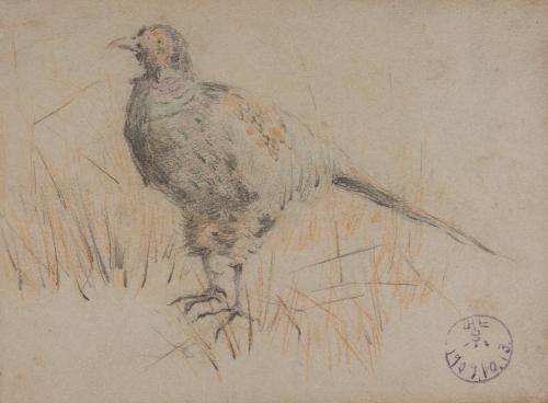 『紫明寫生帖』鉛筆之部其六（左）キジ（右）[風景]