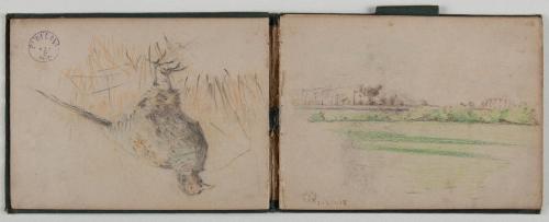 『紫明寫生帖』鉛筆之部其六（左）キジ（右）[風景]