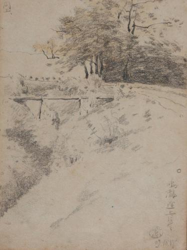 『紫明寫生帖』鉛筆之部其六（左）野中の森（右）野中の森