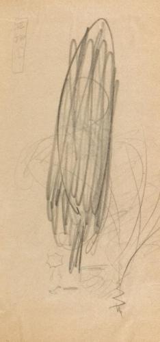 『ホクト』第一年第一号12「植物園」