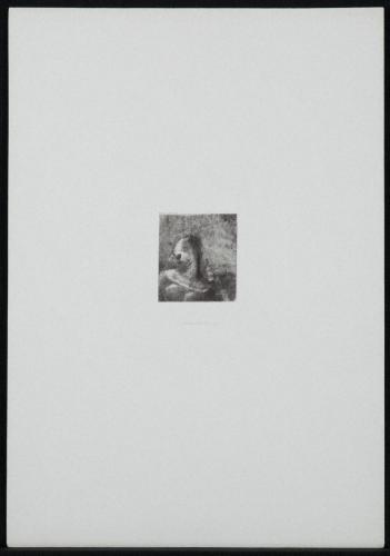 ヘレーナ（エンノイヤ）（『聖アントワーヌの誘惑』第3集より）