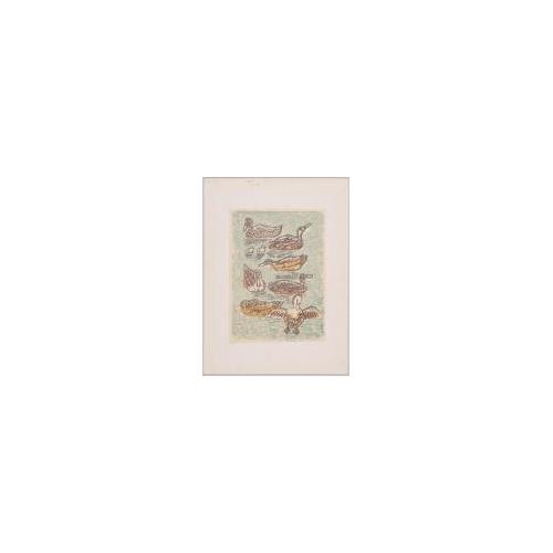 『日版集』［水鳥］