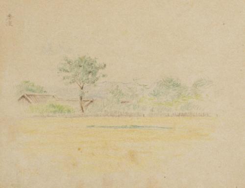 [スケッチブック] （右）年始 （左）麦浪