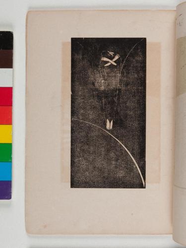 ただよふもの（公刊『月映』VI）