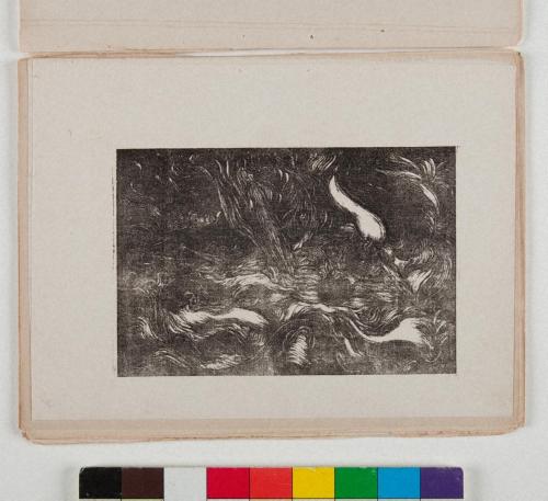 綯はれゆく歡喜と悲愁（公刊『月映』VII）