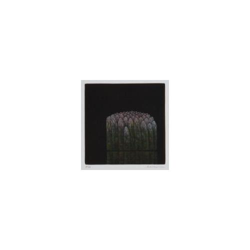 版画集『Ｈamaguchi's six original color mezzotints』 6 アスパラガス