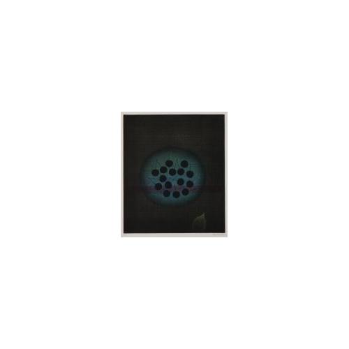 黒いさくらんぼ