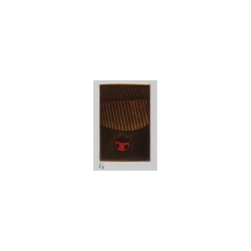 てんとう虫14