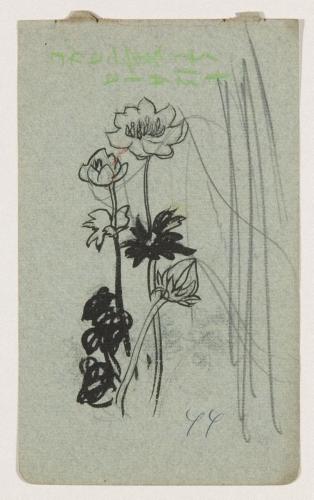 『未知草カード』[第二]より［花］