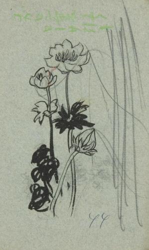 『未知草カード』[第二]より［花］