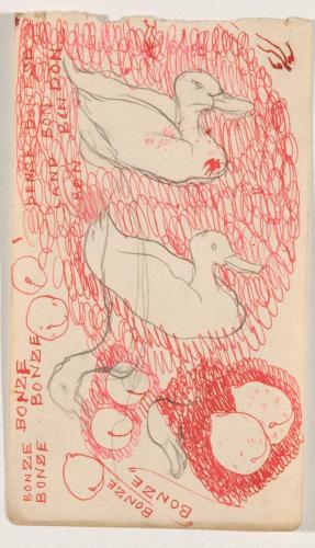 『未知草カード』[第二]より［あひる］