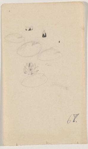 『未知草カード』[第二]より［水蓮］