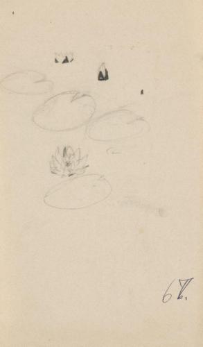 『未知草カード』[第二]より［水蓮］