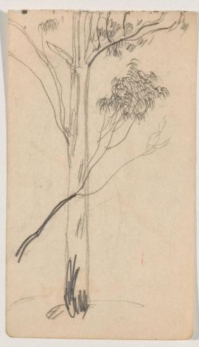 『未知草カード』[第二]より［木］