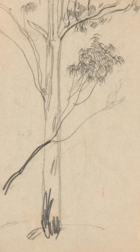 『未知草カード』[第二]より［木］