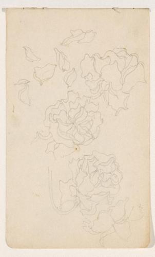 『未知草カード』[第二]より［ばら］