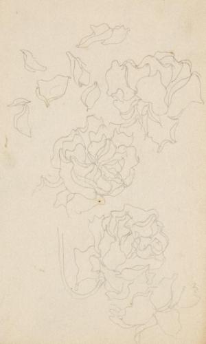 『未知草カード』[第二]より［ばら］