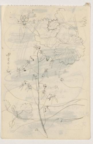 『未知草カード』[第二]より「ゆきのした」