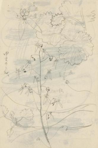 『未知草カード』[第二]より「ゆきのした」