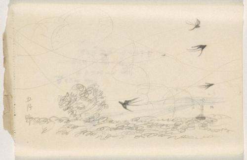 『未知草カード』[第二]より「五月野」