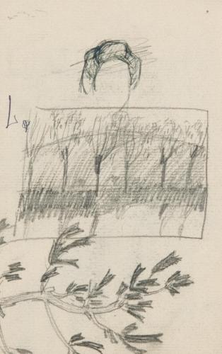 『未知草カード』第三より「七、京のやなぎ」