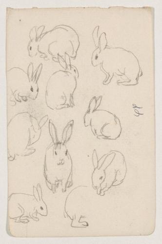 『未知草カード』第三より「四十四、うさぎ」